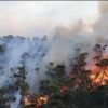 Sulbar Dikepung 3.000 Titik Panas, Gubernur Suhardi Duka: Jangan Bakar Lahan!
