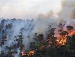Sulbar Dikepung 3.000 Titik Panas, Gubernur Suhardi Duka: Jangan Bakar Lahan!