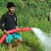 Petani Baruru Nyaris Pasrah, Pompa Air Datang Selamatkan 7 Hektare Sawah