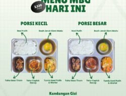 Sekali Masak, 2.520 Penerima Manfaat: SPPG Mambi Salurkan Makanan Bergizi ke Puluhan Sekolah dan Posyandu