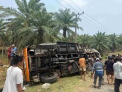 Insiden Truk di Jalur Trans Sulawesi Makan Korban Jiwa, Polda Sulbar Minta Pengemudi Waspada