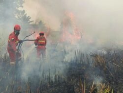 DKPPKB Sulbar: Asap Karhutla Ancam Kesehatan, Kelompok Rentan Diminta Waspada