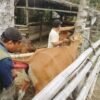 IB Sulbar Peringkat Kedua Nasional, 3.072 Layanan Sudah Terealisasi