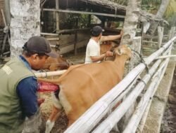 IB Sulbar Peringkat Kedua Nasional, 3.072 Layanan Sudah Terealisasi