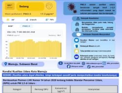 DLHK Sulbar Bagikan Informasi Kualitas Udara Mamuju, PM2.5 Berada pada Kategori Sedang