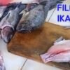 Program MBG Buka Peluang Pasar bagi Petani Mamasa, SPPG Osango Serap Ikan Nila Lokal