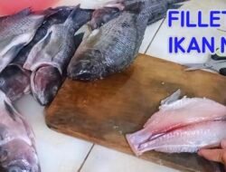 Program MBG Buka Peluang Pasar bagi Petani Mamasa, SPPG Osango Serap Ikan Nila Lokal
